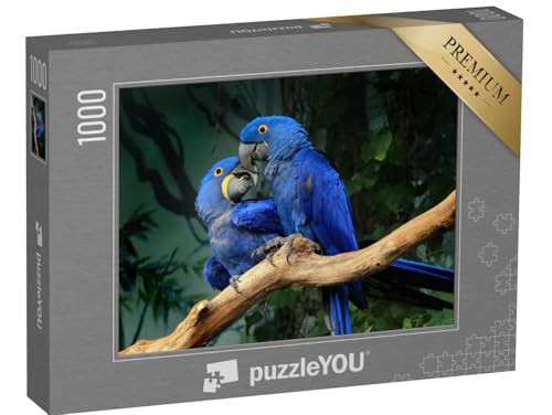 puzzleYOU: Puzzle 1000 Teile „EIN Paar Blauer Hyazinth-Aras berührt Sich mit den Schnäbeln“ – aus der Puzzle-Kollektion Vögel, Papagei, Tiere in Dschungel & Regenwald puzzleYOU: Puzzle 1000 Teile „EIN Paar Blauer Hyazinth-Aras berührt Sich mit den Schnäbeln“ – aus der Puzzle-Kollektion Vögel, Papagei, Tiere in Dschungel & Regenwald von puzzleYOU