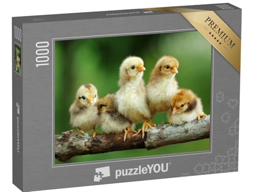 puzzleYOU: Puzzle 1000 Teile „Eine Gruppe von kleinen Küken auf einem AST“ – aus der Puzzle-Kollektion Tiere von puzzleYOU