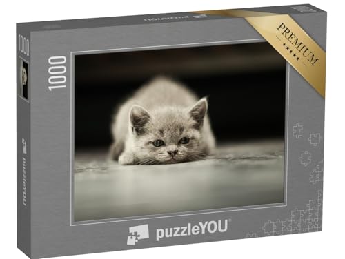 puzzleYOU: Puzzle 1000 Teile „Eine kleine Katze“ – aus der Puzzle-Kollektion Katzen-Puzzles von puzzleYOU