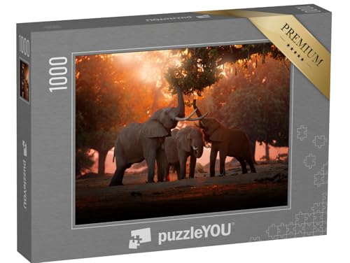 puzzleYOU: Puzzle 1000 Teile „Elefant beim Fressen im Mana Pools Nationalpark, Simbabwe“ – aus der Puzzle-Kollektion Tiere, Safari, Elefanten, Tiere in Savanne & Wüste, Tiere in Dschungel & Regenwald puzzleYOU: Puzzle 1000 Teile „Elefant beim Fressen im Mana Pools Nationalpark, Simbabwe“ – aus der Puzzle-Kollektion Tiere, Safari, Elefanten, Tiere in Savanne & Wüste, Tiere in Dschungel & Regenwald von puzzleYOU