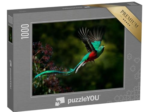 puzzleYOU: Puzzle 1000 Teile „Fliegender Prachtquetzal in Costa Rica, mit grünem Wald im Hintergrund“ – aus der Puzzle-Kollektion Vögel von puzzleYOU