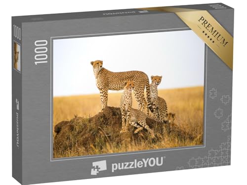 puzzleYOU: Puzzle 1000 Teile „Geparden im Serengeti-Nationalpark, Tansania“ – aus der Puzzle-Kollektion Tiere, Safari, Geparden, Raubtiere, Tiere in Savanne & Wüste puzzleYOU: Puzzle 1000 Teile „Geparden im Serengeti-Nationalpark, Tansania“ – aus der Puzzle-Kollektion Tiere, Safari, Geparden, Raubtiere, Tiere in Savanne & Wüste von puzzleYOU
