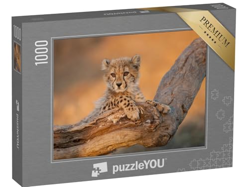 puzzleYOU: Puzzle 1000 Teile „Gepardenbabys auf einem AST im Kruger Park, Südafrika“ – aus der Puzzle-Kollektion Safari, Geparden, Tiere in Savanne & Wüste von puzzleYOU