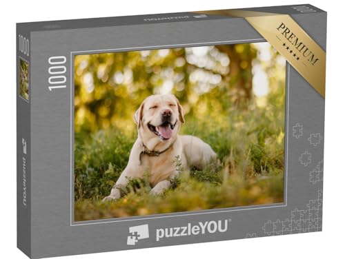 puzzleYOU: Puzzle 1000 Teile „Goldener Labrador Retriever bei Einer Pause im Park“ – aus der Puzzle-Kollektion Hunde, Labrador von puzzleYOU