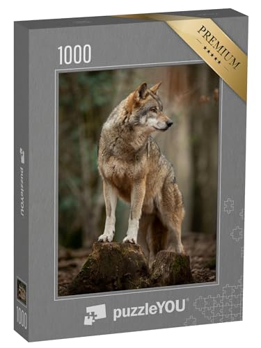 puzzleYOU: Puzzle 1000 Teile „Grauer Wolf in witternder Pose im Wald“ – aus der Puzzle-Kollektion Wölfe, Raubtiere, Tiere des Nordens, Tiere in Wald & Gebirge, Exotische Tiere & Trend-Tiere von puzzleYOU