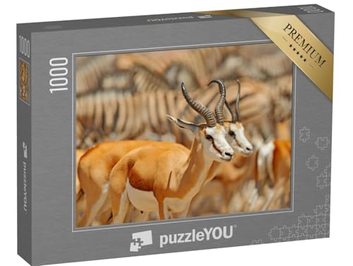 puzzleYOU: Puzzle 1000 Teile „Große Gruppe von Tieren an einem Wasserloch, Namibia“ – aus der Puzzle-Kollektion Safari, Antilopen, Tiere in Savanne & Wüste puzzleYOU: Puzzle 1000 Teile „Große Gruppe von Tieren an einem Wasserloch, Namibia“ – aus der Puzzle-Kollektion Safari, Antilopen, Tiere in Savanne & Wüste von puzzleYOU