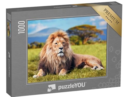 puzzleYOU: Puzzle 1000 Teile „Großer Löwe im Savannengras“ – aus der Puzzle-Kollektion Löwen, Safari, Tiere in Savanne & Wüste puzzleYOU: Puzzle 1000 Teile „Großer Löwe im Savannengras“ – aus der Puzzle-Kollektion Löwen, Safari, Tiere in Savanne & Wüste von puzzleYOU