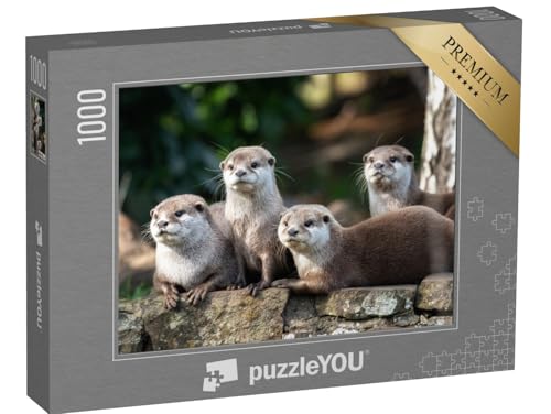 puzzleYOU: Puzzle 1000 Teile „Gruppe von Vier aufmerksamen Orientalischen Kleinfischottern“ – aus der Puzzle-Kollektion Otter, Fische & Wassertiere puzzleYOU: Puzzle 1000 Teile „Gruppe von Vier aufmerksamen Orientalischen Kleinfischottern“ – aus der Puzzle-Kollektion Otter, Fische & Wassertiere von puzzleYOU
