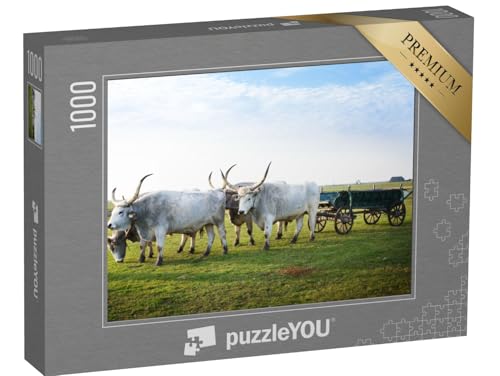 puzzleYOU: Puzzle 1000 Teile „Hortobagy National Park, Ungarn“ – aus der Puzzle-Kollektion Ungarn von puzzleYOU