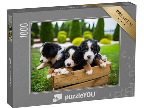 puzzleYOU: Puzzle 1000 Teile „Junge Berner Sennenhund“ – aus der Puzzle-Kollektion Hunde, Berner Sennenhund puzzleYOU: Puzzle 1000 Teile „Junge Berner Sennenhund“ – aus der Puzzle-Kollektion Hunde, Berner Sennenhund von puzzleYOU