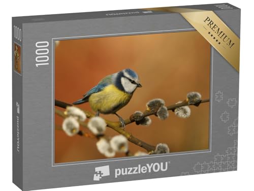 puzzleYOU: Puzzle 1000 Teile „Kleine Blaumeise auf einem Weidenzweig“ – aus der Puzzle-Kollektion Vögel, Singvögel von puzzleYOU