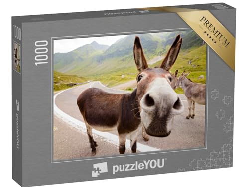 puzzleYOU: Puzzle 1000 Teile „Lustiger Esel in den rumänischen Bergen“ – aus der Puzzle-Kollektion Esel, Tiere von puzzleYOU
