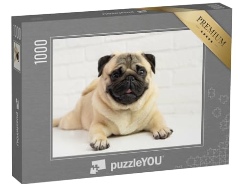 puzzleYOU: Puzzle 1000 Teile „Lustiger Kleiner Mops“ – aus der Puzzle-Kollektion Mops von puzzleYOU