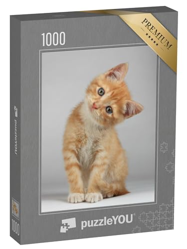 puzzleYOU: Puzzle 1000 Teile „Niedliches kleines Kätzchen“ – aus der Puzzle-Kollektion Katzen-Puzzles von puzzleYOU