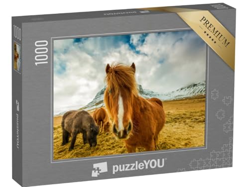 puzzleYOU: Puzzle 1000 Teile „Pferde in den Bergen von Island“ von puzzleYOU