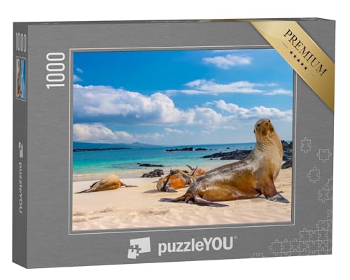 puzzleYOU: Puzzle 1000 Teile „Robben am Strand der Galapagos-Inseln, Ecuador“ – aus der Puzzle-Kollektion Robben, Afrika, Tiere des Nordens, Fische & Wassertiere von puzzleYOU
