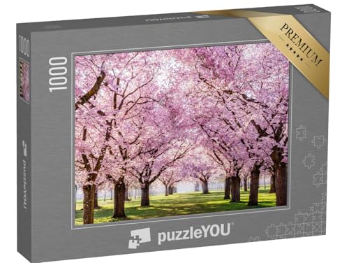 puzzleYOU: Puzzle 1000 Teile „Sakura-Kirschblüten-Allee, wunderschöner Park“ – aus der Puzzle-Kollektion Bäume, Kirschblüten, Wald & Bäume, Blumen & Pflanzen von puzzleYOU