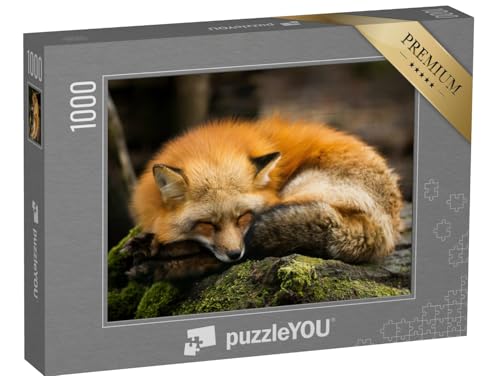 puzzleYOU: Puzzle 1000 Teile „Schlafender Rotfuchs“ – aus der Puzzle-Kollektion Füchse, Tiere in Wald & Gebirge von puzzleYOU