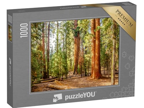 puzzleYOU: Puzzle 1000 Teile „Sequoia National Park im Herbst, Kalifornien, USA“ – aus der Puzzle-Kollektion Bäume, Wald & Bäume von puzzleYOU