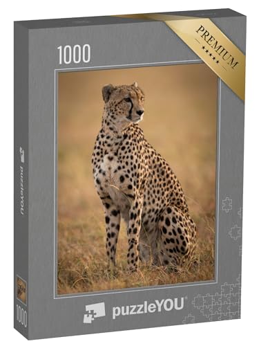 puzzleYOU: Puzzle 1000 Teile „Sitzender Gepard“ – aus der Puzzle-Kollektion Safari, Geparden, Raubtiere, Tiere in Savanne & Wüste puzzleYOU: Puzzle 1000 Teile „Sitzender Gepard“ – aus der Puzzle-Kollektion Safari, Geparden, Raubtiere, Tiere in Savanne & Wüste von puzzleYOU