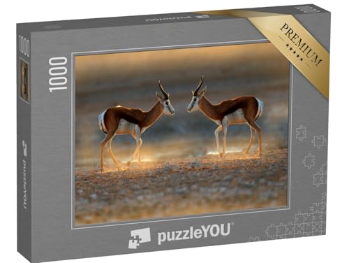 puzzleYOU: Puzzle 1000 Teile „Springbockantilope bei Sonnenuntergang auf Safari, Namibia“ – aus der Puzzle-Kollektion Antilopen, Tiere in Savanne & Wüste puzzleYOU: Puzzle 1000 Teile „Springbockantilope bei Sonnenuntergang auf Safari, Namibia“ – aus der Puzzle-Kollektion Antilopen, Tiere in Savanne & Wüste von puzzleYOU