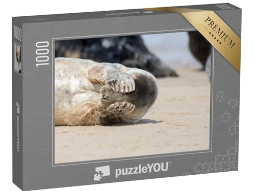 puzzleYOU: Puzzle 1000 Teile „Wo ist die kleine Robbe?“ – aus der Puzzle-Kollektion Robben, Tiere des Nordens, Fische & Wassertiere von puzzleYOU