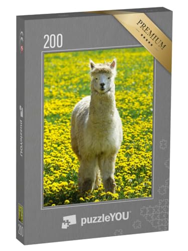 puzzleYOU: Puzzle 200 Teile „Alpaka auf Einer Sommerwiese mit gelben Blumen“ – aus der Puzzle-Kollektion Alpakas, Exotische Tiere & Trend-Tiere von puzzleYOU