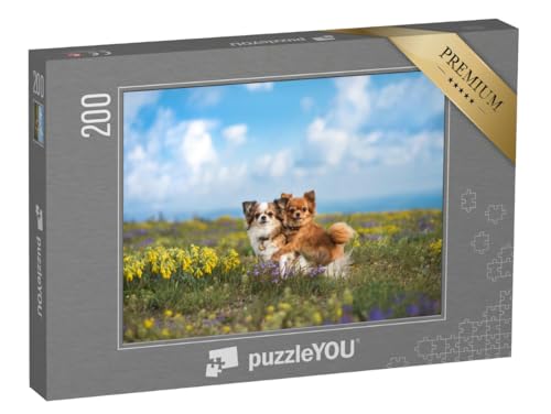 puzzleYOU: Puzzle 200 Teile „Chihuahua auf der grünen Wiese“ – aus der Puzzle-Kollektion Hunde, Chihuahua von puzzleYOU
