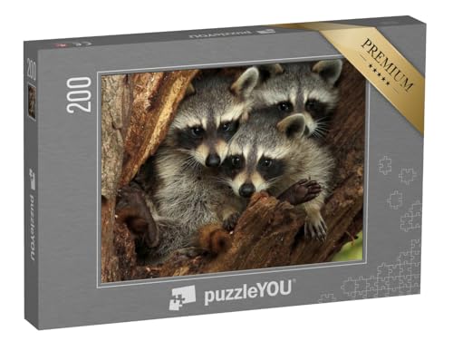 puzzleYOU: Puzzle 200 Teile „DREI kuschelige Waschbären in Einer Baumhöhle“ – aus der Puzzle-Kollektion Waschbären, Tiere in Wald & Gebirge, Exotische Tiere & Trend-Tiere puzzleYOU: Puzzle 200 Teile „DREI kuschelige Waschbären in Einer Baumhöhle“ – aus der Puzzle-Kollektion Waschbären, Tiere in Wald & Gebirge, Exotische Tiere & Trend-Tiere von puzzleYOU
