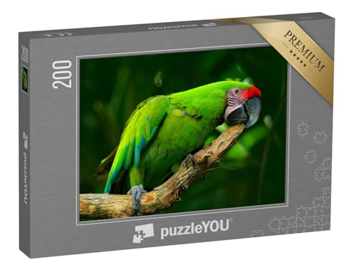 puzzleYOU: Puzzle 200 Teile „Großer Grüner Ara, seltener Vogel aus Costa Rica“ – aus der Puzzle-Kollektion Vögel, Papagei, Tiere in Dschungel & Regenwald von puzzleYOU