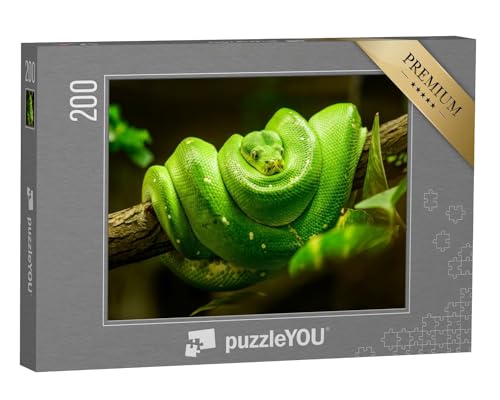 puzzleYOU: Puzzle 200 Teile „Grüne Schlange auf dem AST“ – aus der Puzzle-Kollektion Schlangen, Tiere in Dschungel & Regenwald von puzzleYOU