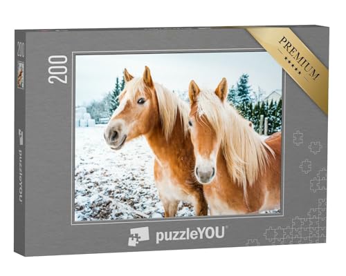 puzzleYOU: Puzzle 200 Teile „Haflingerpferde auf Einer schneebedeckten Wiese“ – aus der Puzzle-Kollektion Pferde, Haflinger Pferde von puzzleYOU