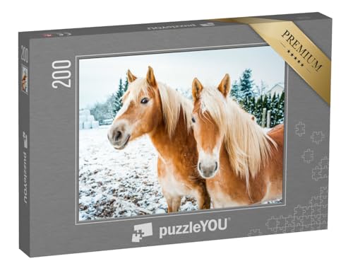 puzzleYOU: Puzzle 200 Teile „Haflingerpferde auf Einer schneebedeckten Wiese“ – aus der Puzzle-Kollektion Pferde, Haflinger Pferde von puzzleYOU