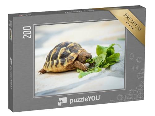 puzzleYOU: Puzzle 200 Teile „Haustierschildkröte bei ihrer Salat-Mahlzeit“ – aus der Puzzle-Kollektion Meeresschildkröten, Fische & Wassertiere von puzzleYOU