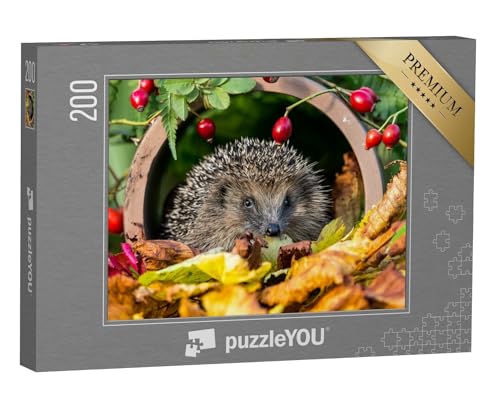 puzzleYOU: Puzzle 200 Teile „Igel in goldenem Herbstlaub“ – aus der Puzzle-Kollektion Igel, Tiere in Wald & Gebirge von puzzleYOU