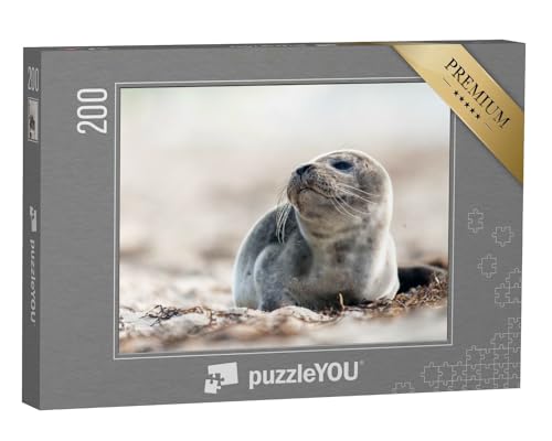 puzzleYOU: Puzzle 200 Teile „Junge Robbe am Strand der Ostsee“ – aus der Puzzle-Kollektion Robben von puzzleYOU