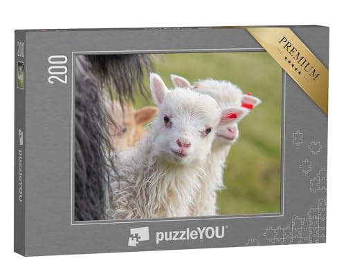 puzzleYOU: Puzzle 200 Teile „Junges Lamm schaut neurgierig in die Kamera, Porträt eines Schafes“ – aus der Puzzle-Kollektion Schafe & Lämmer, Bauernhof-Tiere von puzzleYOU