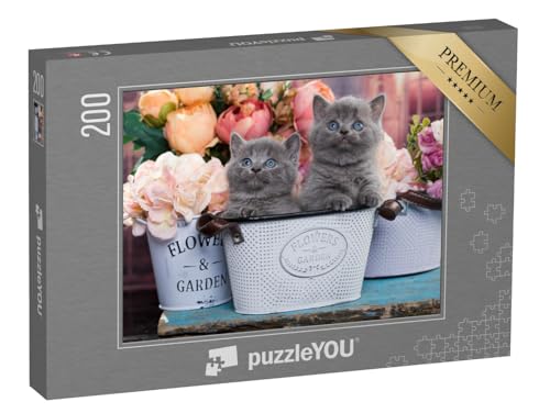puzzleYOU: Puzzle 200 Teile „Kätzchen im Blumentopf“ – aus der Puzzle-Kollektion Katzen-Puzzles puzzleYOU: Puzzle 200 Teile „Kätzchen im Blumentopf“ – aus der Puzzle-Kollektion Katzen-Puzzles von puzzleYOU