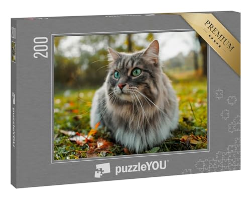puzzleYOU: Puzzle 200 Teile „Katze mit flauschigem grauen Fell“ puzzleYOU: Puzzle 200 Teile „Katze mit flauschigem grauen Fell“ von puzzleYOU