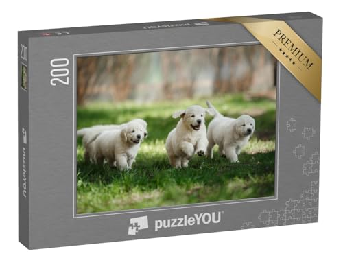 puzzleYOU: Puzzle 200 Teile „Kleine Golden-Retriever-Welpen, die im Sommer im Park herumlaufen und Spielen“ – aus der Puzzle-Kollektion Welpen von puzzleYOU