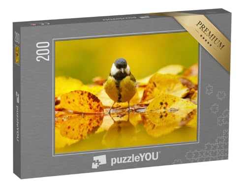 puzzleYOU: Puzzle 200 Teile „Kleine Kohlmeise im Herbstlaub“ – aus der Puzzle-Kollektion Vögel, Singvögel von puzzleYOU