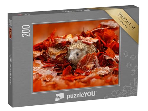 puzzleYOU: Puzzle 200 Teile „Kleiner Igel versteckt im bunten Herbstlaub“ – aus der Puzzle-Kollektion Igel, Herbst, Himmel & Jahreszeiten, Tiere in Wald & Gebirge von puzzleYOU