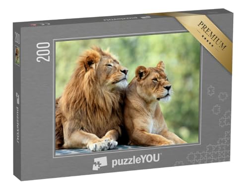 puzzleYOU: Puzzle 200 Teile „Löwenmännchen und Löwenweibchen“ – aus der Puzzle-Kollektion Löwen, Raubtiere, Tiere in Savanne & Wüste von puzzleYOU