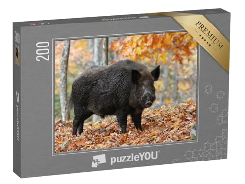 puzzleYOU: Puzzle 200 Teile „Männliches Wildschwein im Herbstwald, Keiler im Laub“ – aus der Puzzle-Kollektion Wildschweine, Tiere in Wald & Gebirge von puzzleYOU