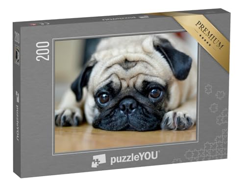 puzzleYOU: Puzzle 200 Teile „Mops mit treuherzigem Blick“ – aus der Puzzle-Kollektion Mops puzzleYOU: Puzzle 200 Teile „Mops mit treuherzigem Blick“ – aus der Puzzle-Kollektion Mops von puzzleYOU