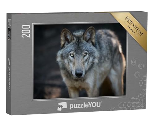 puzzleYOU: Puzzle 200 Teile „Nahaufnahme eines grauen Wolfes in den kanadischen Wäldern“ – aus der Puzzle-Kollektion Wölfe, Tiere in Wald & Gebirge, Exotische Tiere & Trend-Tiere von puzzleYOU