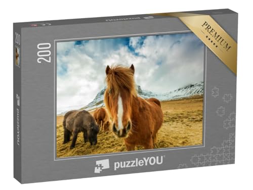 puzzleYOU: Puzzle 200 Teile „Pferde in den Bergen von Island“ – aus der Puzzle-Kollektion Tiere, Pferde, Islandpferde puzzleYOU: Puzzle 200 Teile „Pferde in den Bergen von Island“ – aus der Puzzle-Kollektion Tiere, Pferde, Islandpferde von puzzleYOU