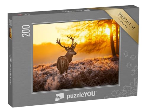 puzzleYOU: Puzzle 200 Teile „Rothirsch in der Morgensonne“ – aus der Puzzle-Kollektion Tiere, Natur, Hirsche, Tiere in Wald & Gebirge puzzleYOU: Puzzle 200 Teile „Rothirsch in der Morgensonne“ – aus der Puzzle-Kollektion Tiere, Natur, Hirsche, Tiere in Wald & Gebirge von puzzleYOU