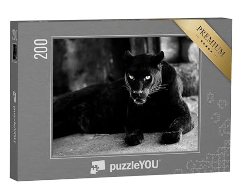 puzzleYOU: Puzzle 200 Teile „Schöner schwarzer Panther: eine Großkatze“ – aus der Puzzle-Kollektion Panther, Raubtiere, Tiere in Dschungel & Regenwald von puzzleYOU