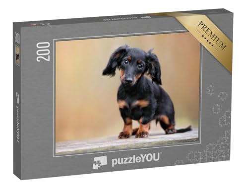 puzzleYOU: Puzzle 200 Teile „Schwarzer Dackel: Welpe, Portrait im Freien“ – aus der Puzzle-Kollektion Hunde, Dackel puzzleYOU: Puzzle 200 Teile „Schwarzer Dackel: Welpe, Portrait im Freien“ – aus der Puzzle-Kollektion Hunde, Dackel von puzzleYOU